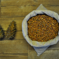 Photo of pine nuts 6