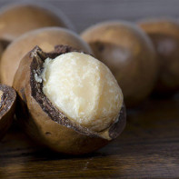 Photo of macadamia nut 5