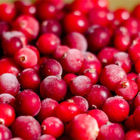 Picture of cranberry