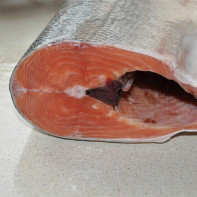 Photo of chum salmon 3