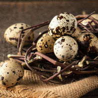 Photo quail eggs 6