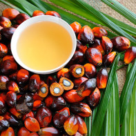 Photo of Palm Oil 2