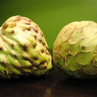 Photo of the cherimoya fruit 5