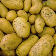 Potatoes 6