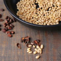 Photo of pine nuts 4