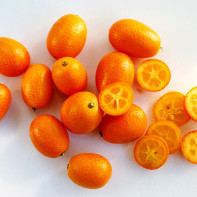 Photo of the kumquat 5