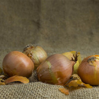 Onion husk photo 3