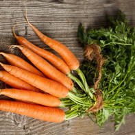 Photo of Carrots 2