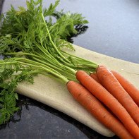 Picture of carrot tops 5