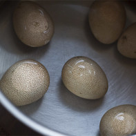 Photo of guinea fowl eggs 2