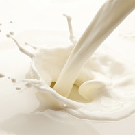 Photo of milk 4