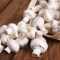 Photo of mushrooms 6