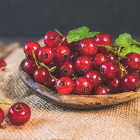 Photo of red currants 5