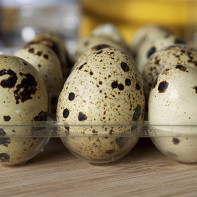 Photo quail eggs 4