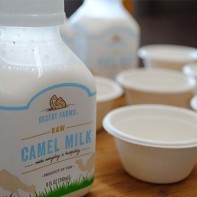 Camel milk photo 4