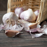 Photo of garlic 2