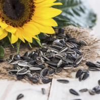 Photo of sunflower seeds