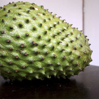 Photo of the guanabana fruit