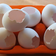 Photo of eggshells 5