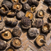 Photo of shiitake mushrooms 3