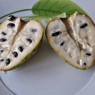 Photo of the cherimoya fruit