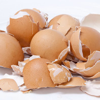Photo of eggshells 3