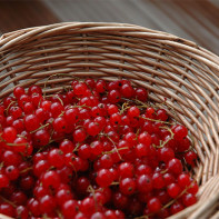 Photo of red currants 3