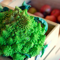 Photo of Romanesco cabbage 5