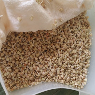 Photo of sprouted buckwheat 5