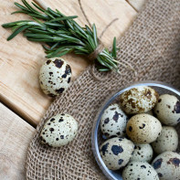 Photo of quail eggs 2