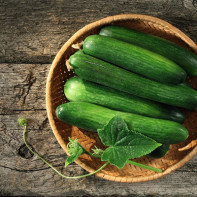 Cucumbers Photos