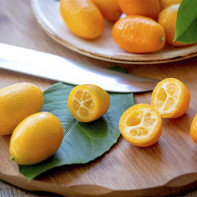Photo of kumquat