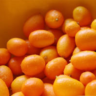 Photo of kumquat 3
