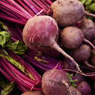 Photo of beets 5