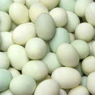 Photo of duck eggs 5