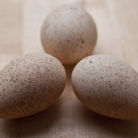 Photo of guinea fowl eggs