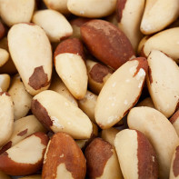 Photo of a Brazil nut 3