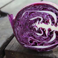 Photo of red cabbage 4