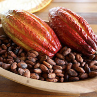 Photo of cocoa beans 4
