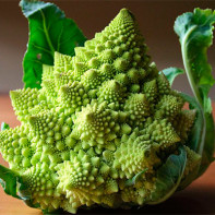 Photo of Romanesco cabbage 4