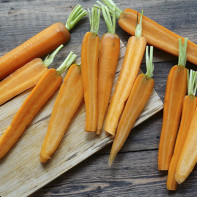 Photo of carrots 6