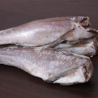 Photo of hake fish