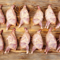 Photo of quail meat 3