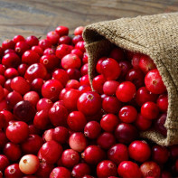 Picture of cranberry