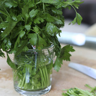 Photo of parsley 5