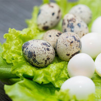 Photo quail eggs 5