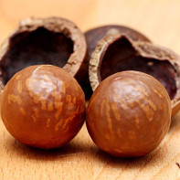 Photo of macadamia nut