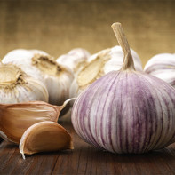 Photo of garlic 4