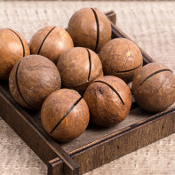 Photo of macadamia nut 6