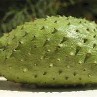 Photo of guanabana fruit 4